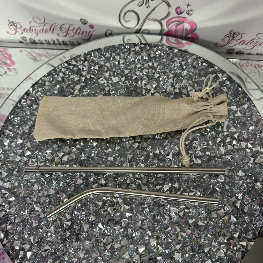 2 metal straws brand new with carrying bag silver thick smoothie straw style